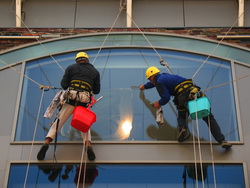 Domestic Window Cleaning