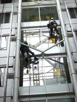 How Do I Get Sparkling Windows