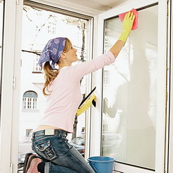 Window Cleaning Gear